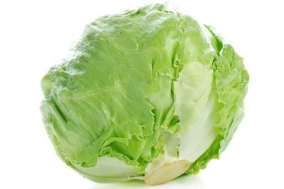 Cabbage/Iceberg