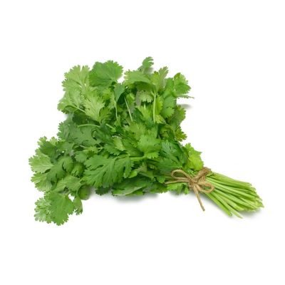 Fresh Coriander