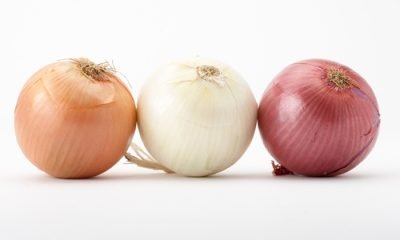 Fresh ( Red - Yellow - White ) Onion